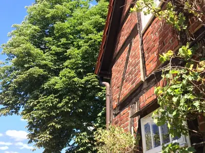 Ferienhaus für 11 Personen (200 m²) in Dannenberg (Elbe) 5/10