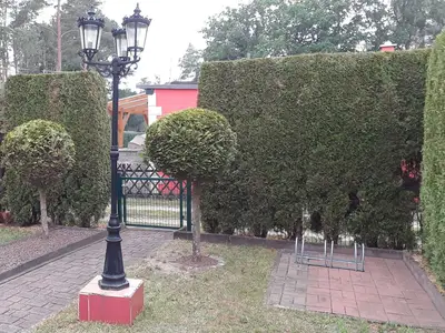 Ferienhaus für 3 Personen (46 m²) in Dannigkow 4/10