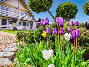 Ferienhaus für 6 Personen (80 m²) in Darlowo