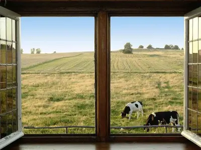 ViewSummer