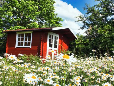 Ferienhaus für 6 Personen (125 m²) in Dassow 8/10