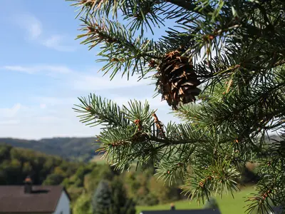 Haus Sonne_Aussicht_3