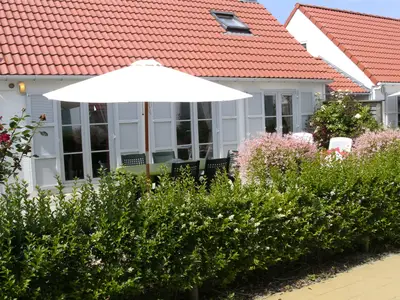 GardenSummer