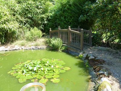 Haus am Eichenweg Teich mit Fischen u. Fröschen