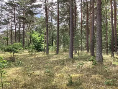 Outdoor