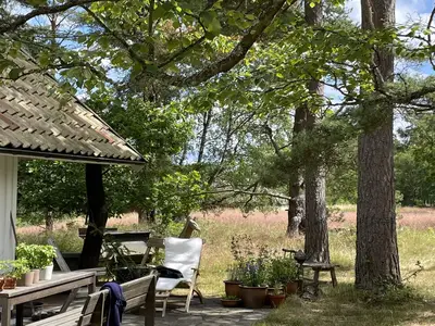 Outdoor