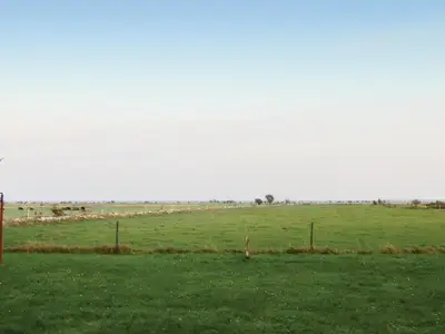 view-from-room