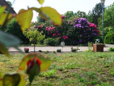 Ferienhaus für 4 Personen (90 m²) in Detern 5/10