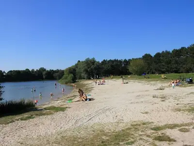 Ferienhaus für 4 Personen (60 m²) in Detern 3/10