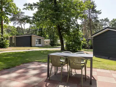 GardenSummer
