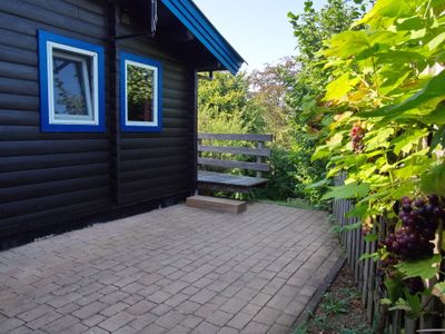 Ferienhaus für 4 Personen (50 m²) in Diemelsee 4/10