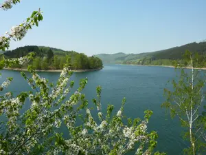 Ferienhaus für 4 Personen (70 m²) in Diemelsee-Heringhausen