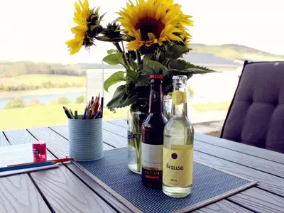 Ferienhaus für 5 Personen (91 m²) in Diemelsee 10/10