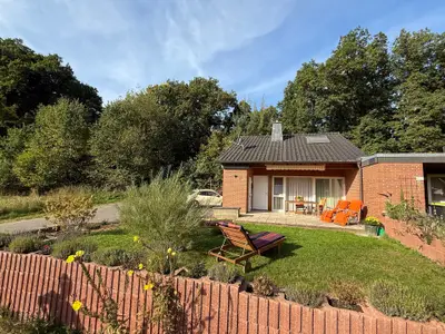 Ferienhaus für 3 Personen (76 m²) in Diemelstadt 1/10