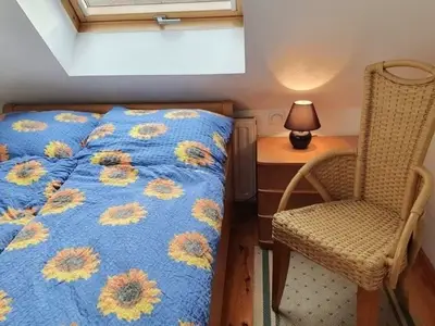 Ferienhaus für 4 Personen (60 m²) in Diemitz 7/10