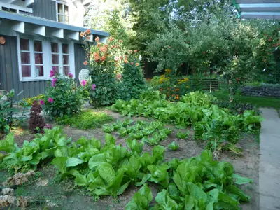 Nutzgarten