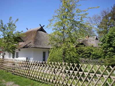 Ferienhaus für 4 Personen (50 m²) in Dierhagen (Ostseebad) 3/10