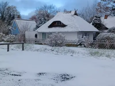 Ferienhaus für 2 Personen (30 m²) in Dierhagen (Ostseebad) 10/10