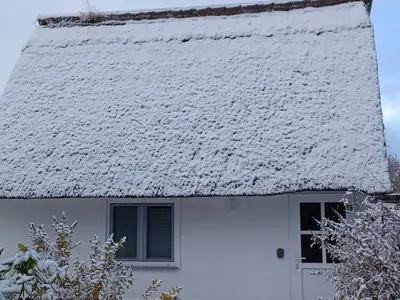 Ferienhaus für 2 Personen (30 m²) in Dierhagen (Ostseebad) 3/10