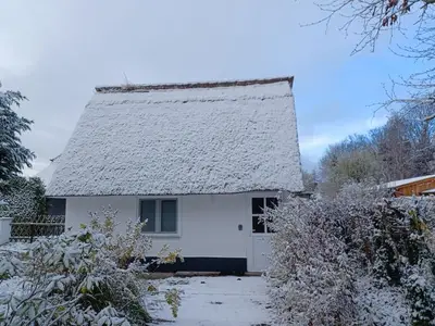 Ferienhaus für 2 Personen (30 m²) in Dierhagen (Ostseebad) 4/10