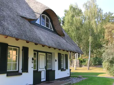 Ferienhaus für 6 Personen (100 m²) in Dierhagen (Ostseebad) 4/10