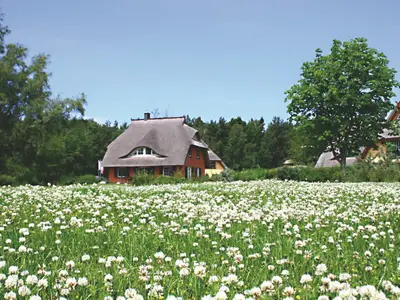 Ferienhaus für 6 Personen (100 m²) in Dierhagen (Ostseebad) 10/10