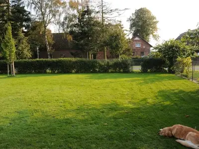 Ferienhaus für 5 Personen (90 m²) in Dierhagen (Ostseebad) 5/10