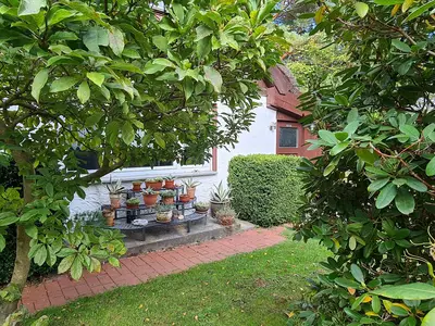 Ferienhaus für 5 Personen (95 m²) in Dierhagen Strand 2/10