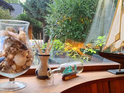 Ferienhaus für 5 Personen (95 m²) in Dierhagen Strand 4/10