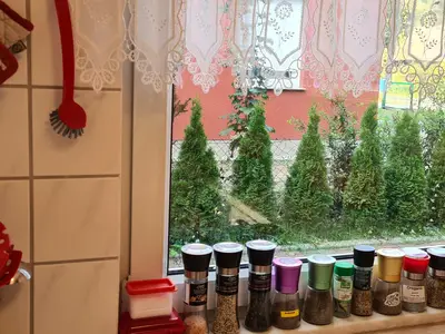 Ferienhaus für 5 Personen (95 m²) in Dierhagen Strand 7/10