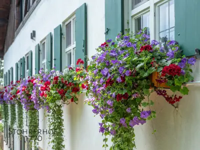 Ferienhaus für 15 Personen (360 m²) in Dießen Am Ammersee 1/10