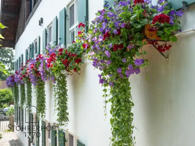 Ferienhaus für 15 Personen (360 m²) in Dießen Am Ammersee 9/10
