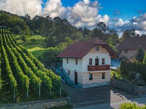 Ferienhaus für 4 Personen (55 m²) in Dobrnič