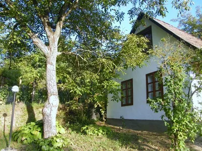Ihr komfortables Urlaubsdomizil Leitenhof - ideal im Sommer ...