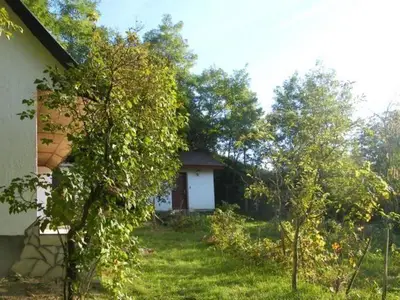 Ein eingewachsener, hundegerecht komplett eingezäunter Garten mit Gartenmöbeln und Grillplatz ...