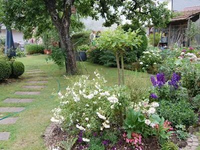 Ferienhaus für 4 Personen (150 m²) in Dodenburg 5/10