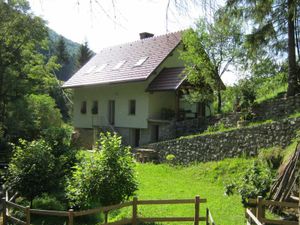 22439911-Ferienhaus-8-Dolenja Trebuša-300x225-1