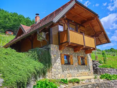 Ferienhaus für 4 Personen (70 m²) in Dolenjske Toplice 7/10