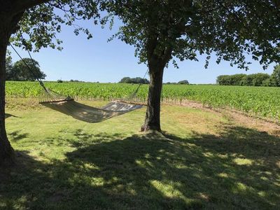 Ferienhaus für 4 Personen (70 m²) in Dollerup 2/10