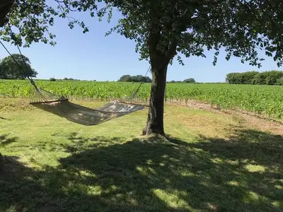 Ferienhaus für 4 Personen (70 m²) in Dollerup 2/10