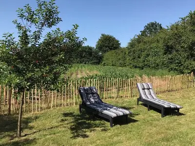 Ferienhaus für 4 Personen (70 m²) in Dollerup 3/10