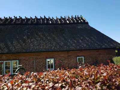Ferienhaus für 4 Personen (70 m²) in Dollerup 4/10