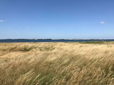 Ferienhaus für 6 Personen (120 m²) in Dollerup 10/10