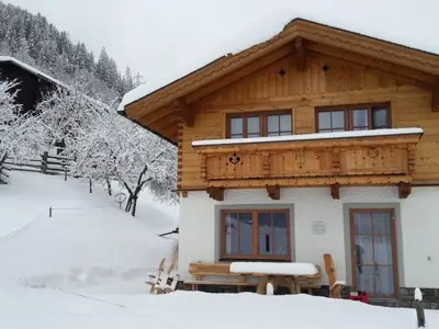 Ferienhaus für 8 Personen (100 m²) in Dorfgastein 2/10