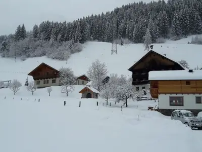 Ferienhaus für 8 Personen (100 m²) in Dorfgastein 4/10