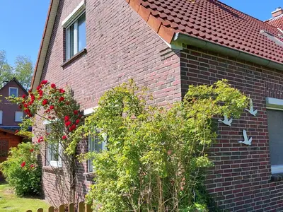 Ferienhaus für 5 Personen (72 m²) in Dornum 3/10