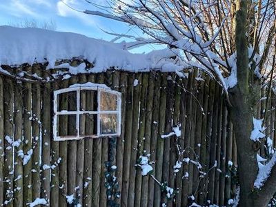 Garten im Winter