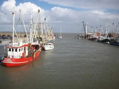 Ferienhaus für 3 Personen (55 m²) in Dornumersiel 1/10