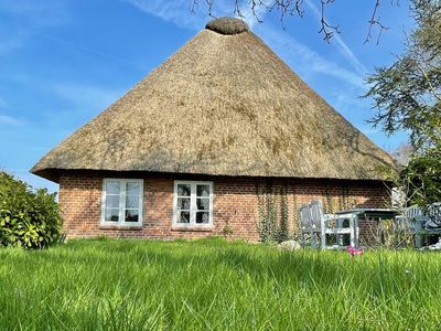 Ferienhaus für 4 Personen (79 m²) in Dörphof 4/10