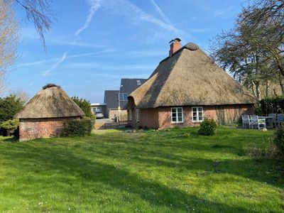 Ferienhaus für 4 Personen (79 m²) in Dörphof 6/10